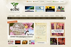 Ecoki web design inspiration